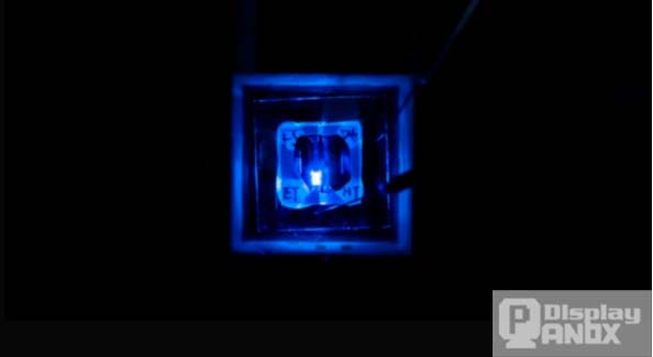 Blue PHOLED